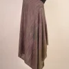 pashmina shawl with gi tag