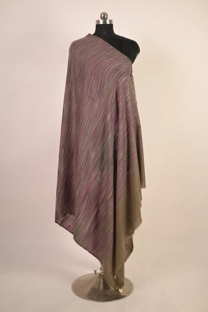 pashmina shawl with gi tag